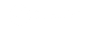 Steam